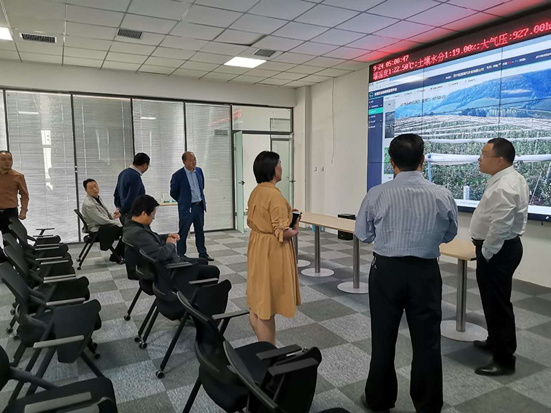 多多28售后人员对洛阳客户现代农业项目设备进行维护