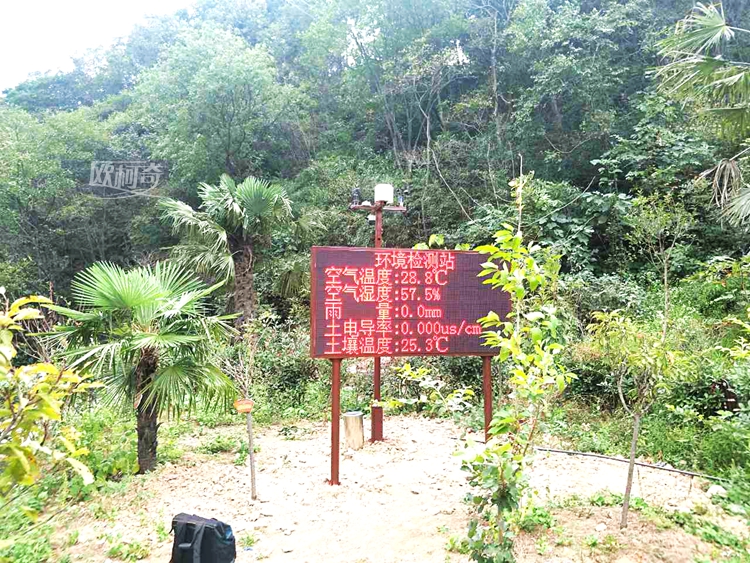  多多28智能监测设备走进河南大别山自然保护区