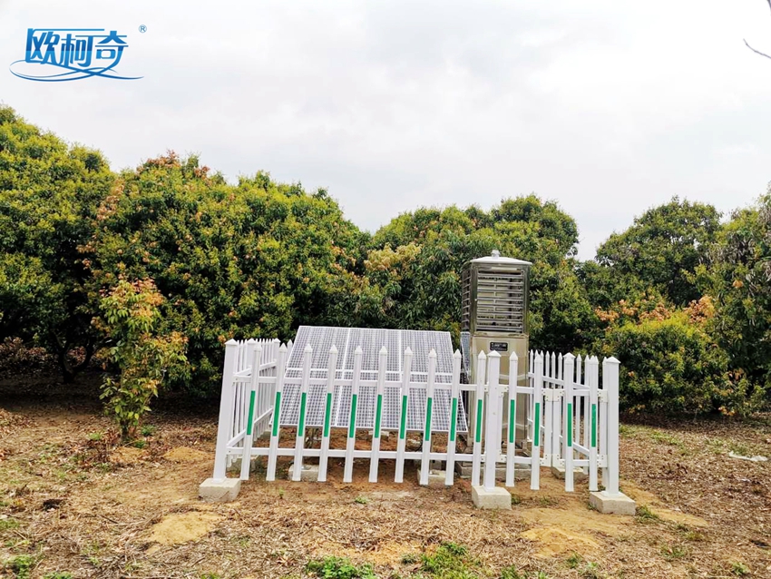  建标准基地，育富民产业：多多28虫情测报灯走进广东荔枝生产基地