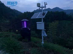 多多28产品助力安徽黄山数字茶园建设
