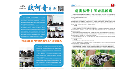 2024年第十二期《多多28月刊》发行